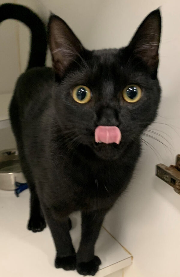 Roscoe