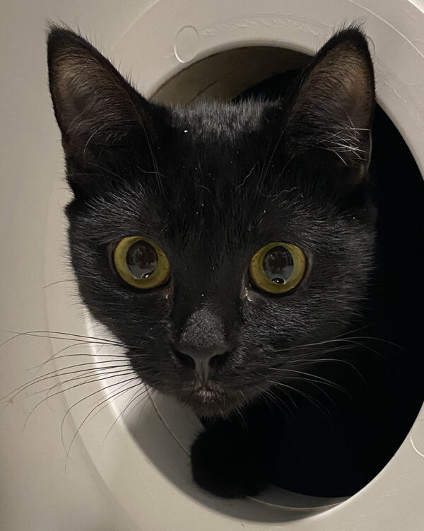 Jet