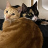 Maddy and Matty - Image 2