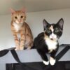 Maddy and Matty - Image 6