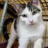Izzy - Image 2