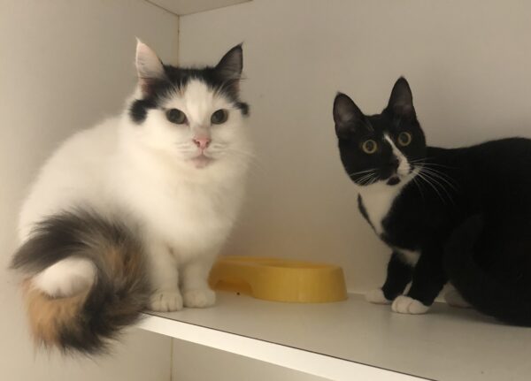 Sabrina & Lulu