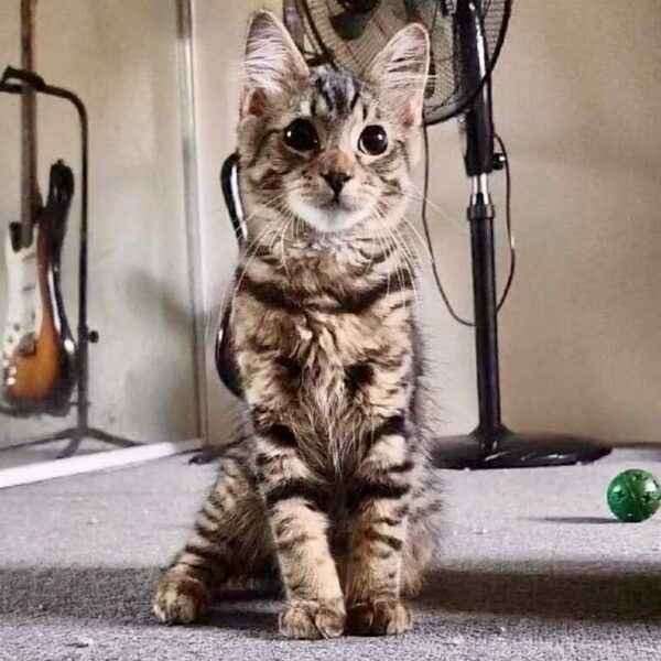 Theodore