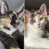 Coco and Luna