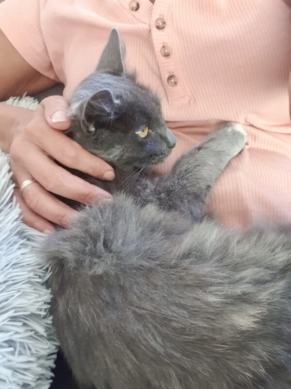 Mia - Image 2