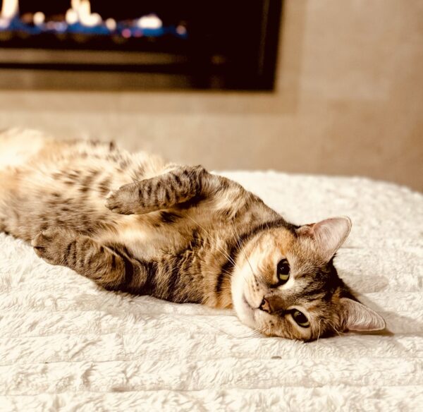 Emma - young old soul