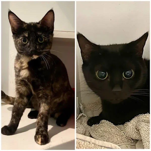 Roxy and Trixie - young mum & daughter