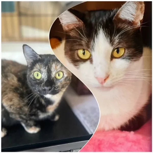 Tori and Mabel