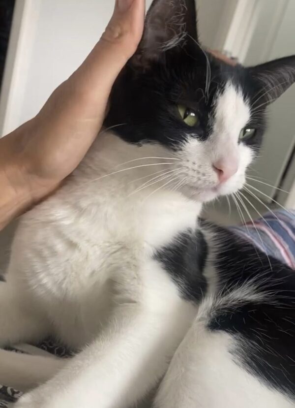 Winnie - Affectionate companion