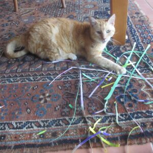Aslan making Easter baskets