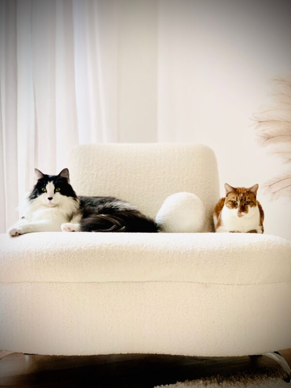 Pepper and Mila - An Unlikely Pair - Image 3