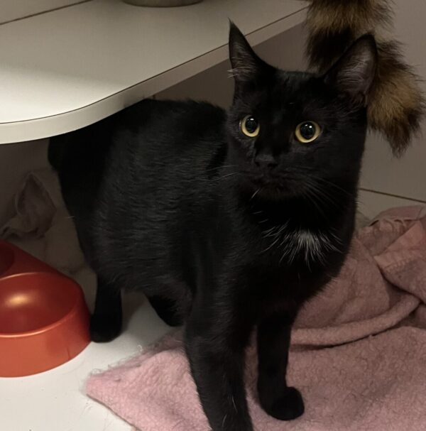 Maggie - quiet, gentle mum