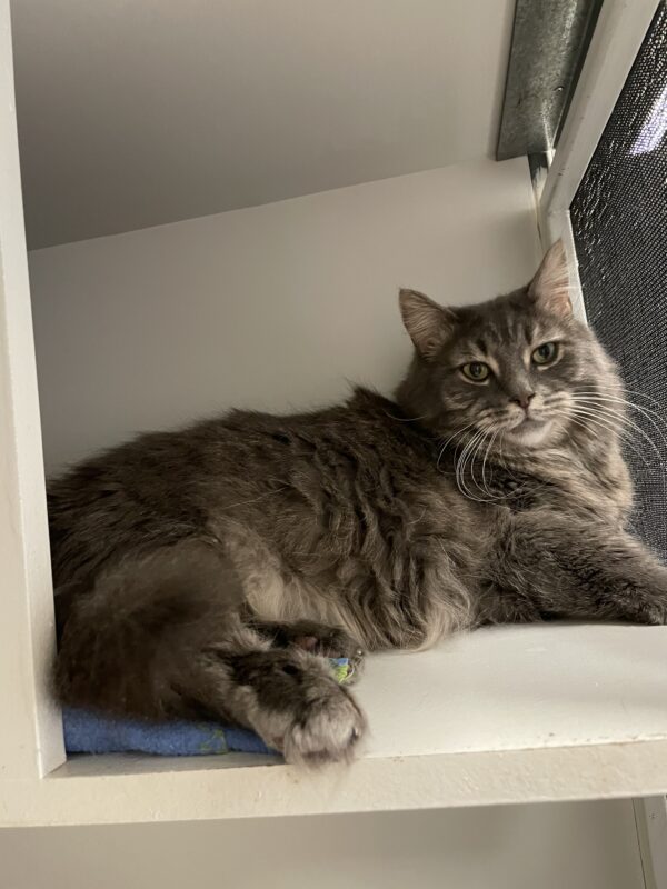 Max - Image 3