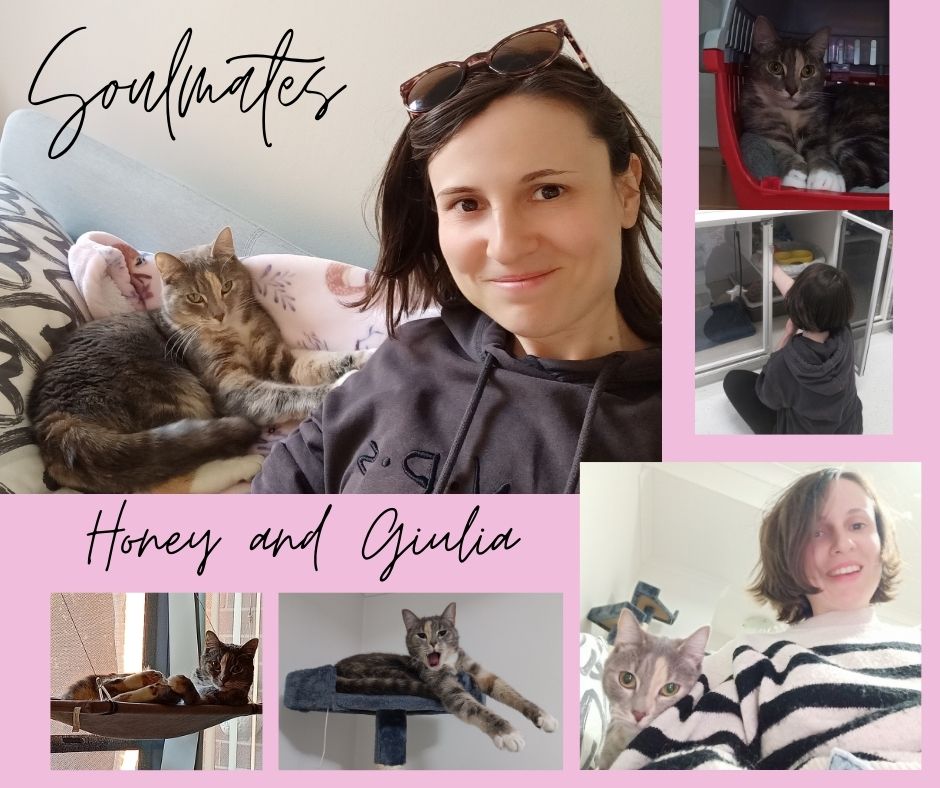H𝐚𝐩𝐩𝐲 𝐓𝐚𝐢𝐥𝐬 – 𝐆𝐢𝐮𝐥𝐢𝐚 & 𝐇𝐨𝐧𝐞𝐲-𝐒𝐨𝐮𝐥𝐦𝐚𝐭𝐞𝐬…Giulia, a volunteer at SAFE Haven tells their story…