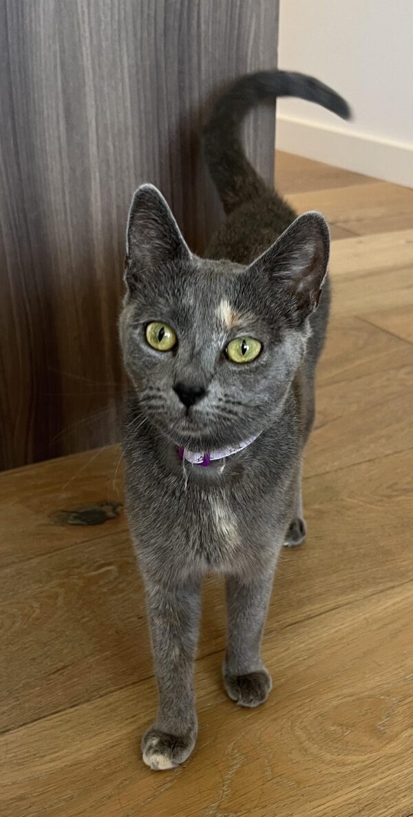 Gigi - affectionate mum