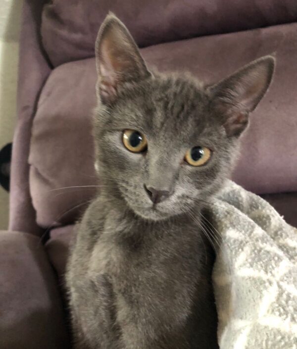 Mark - little cuddle monster - Image 2