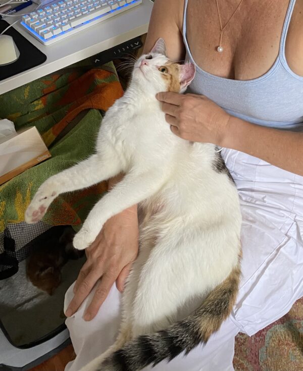 Cindy - Talkative companion - Image 5