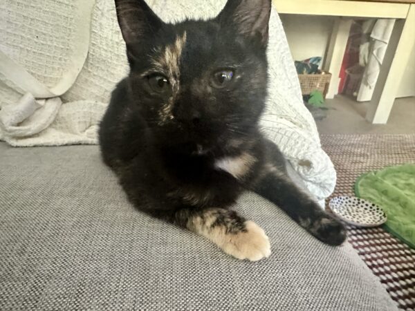Cindy - this girl will steal your heart
