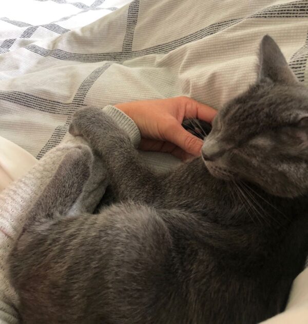 Mark - little cuddle monster - Image 5