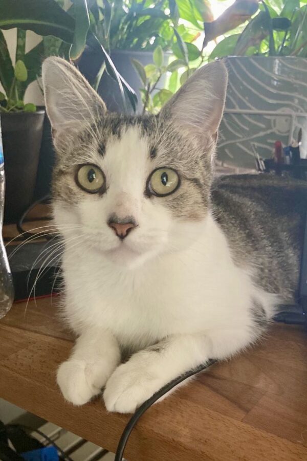 Ricki - loves the spotlight