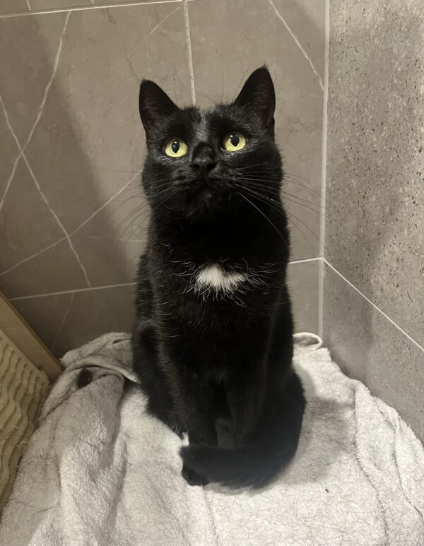 Ella - sweet and affectionate