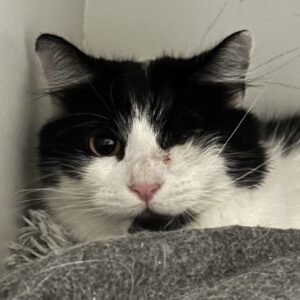 Emma - sweet natured Mum