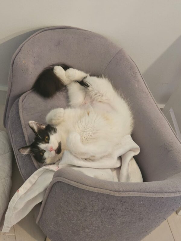 Emma - sweet natured Mum - Image 2