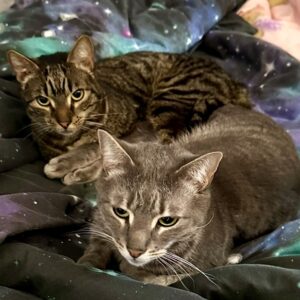 Turbo and Hiccup -a balanced duo