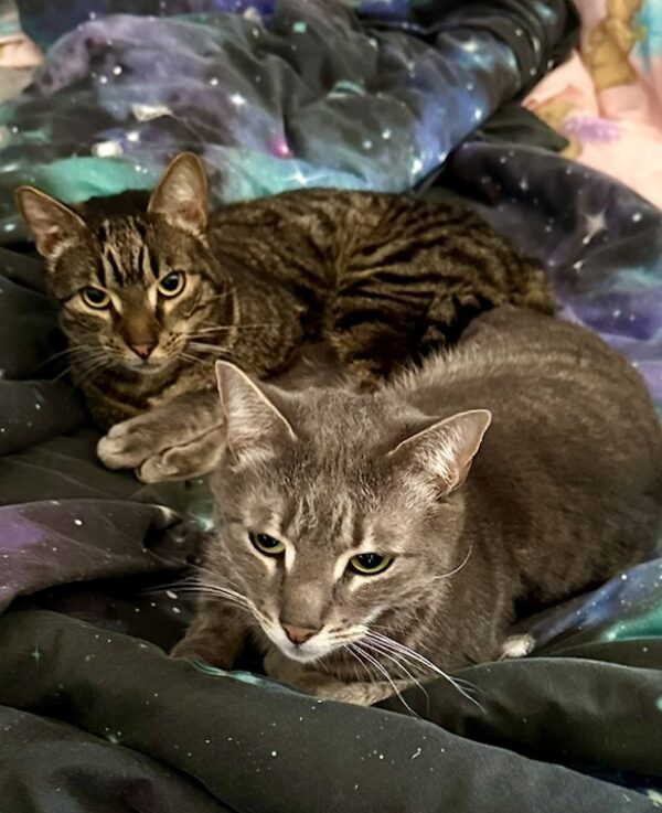 Turbo and Hiccup -a balanced duo