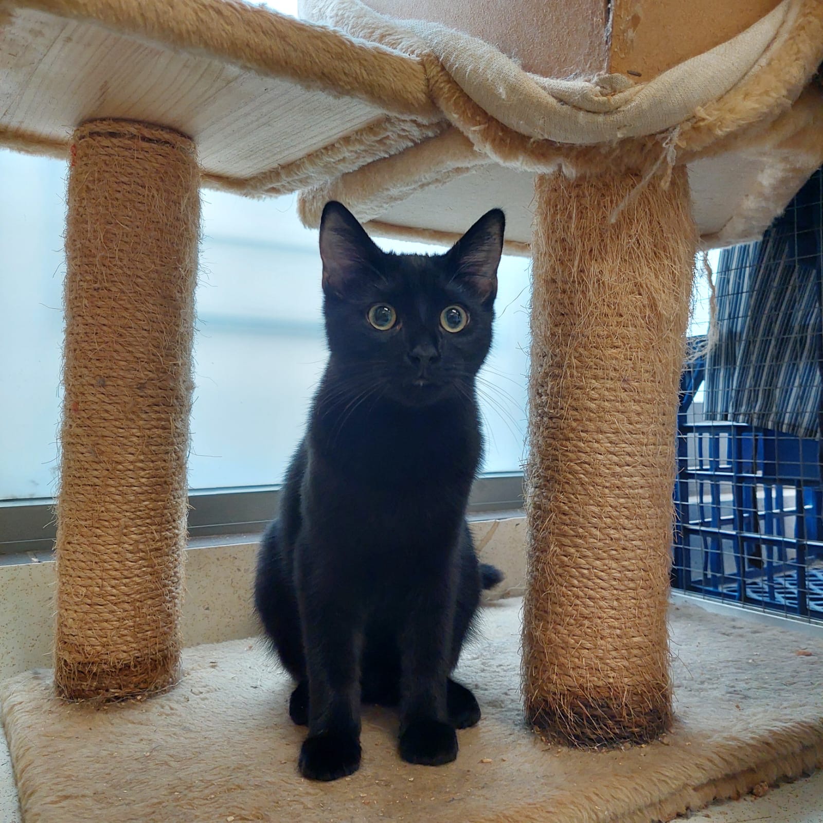 Samuel - sensitive soul - Image 2