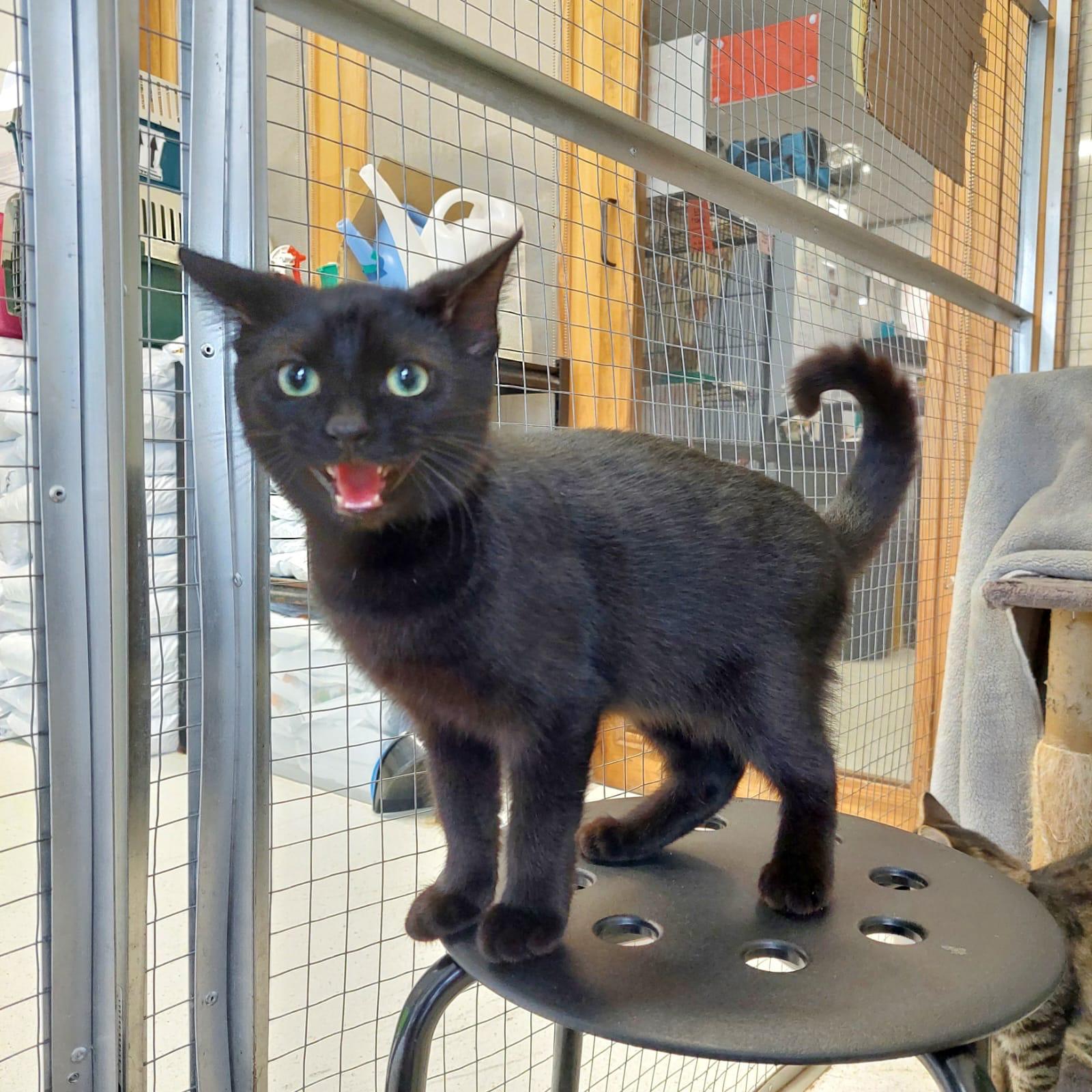 Samuel - sensitive soul - Image 3