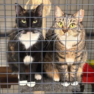 Prue & Trude - Shy sisters with hidden depths