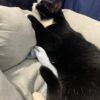 Mieka and Loki - a bond forged on the streets - Image 9