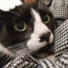 Mieka and Loki - a bond forged on the streets - Image 7
