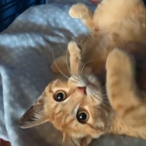 Griffin - give him a little time to smooch
