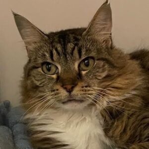 Bissie - do you have a corner for her?