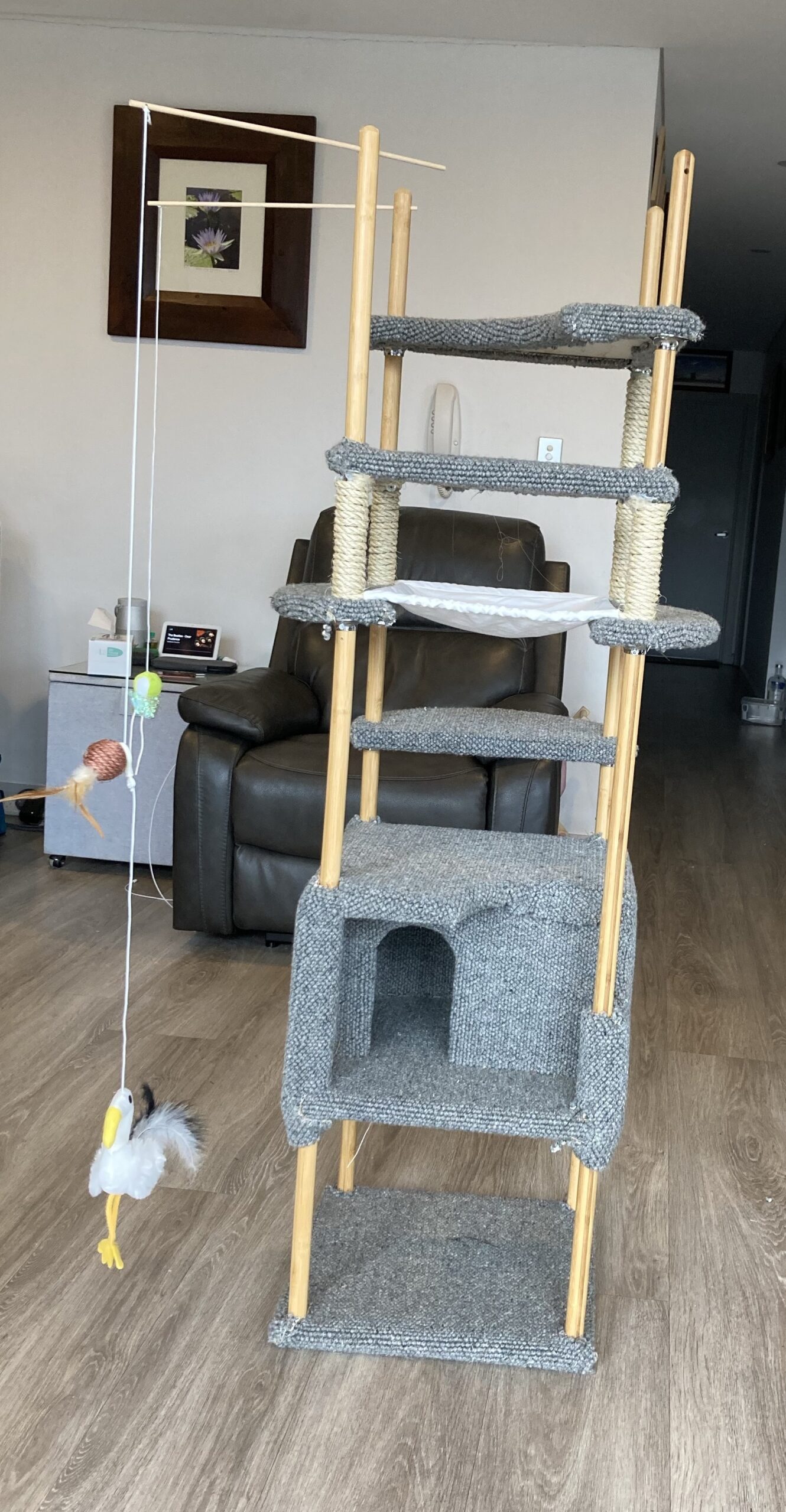 Patch & Lily – from SAFE to Spoiled rotten
