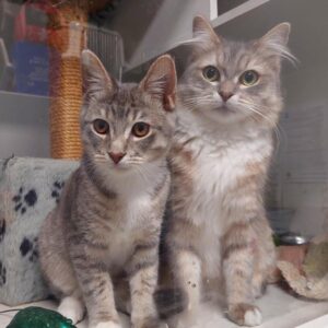 Velvet & Vo Vo - delightful mum and son