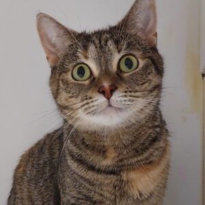 Miley - gentle young Mum