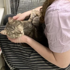 Dawson - A gentle soul with a heart full of love