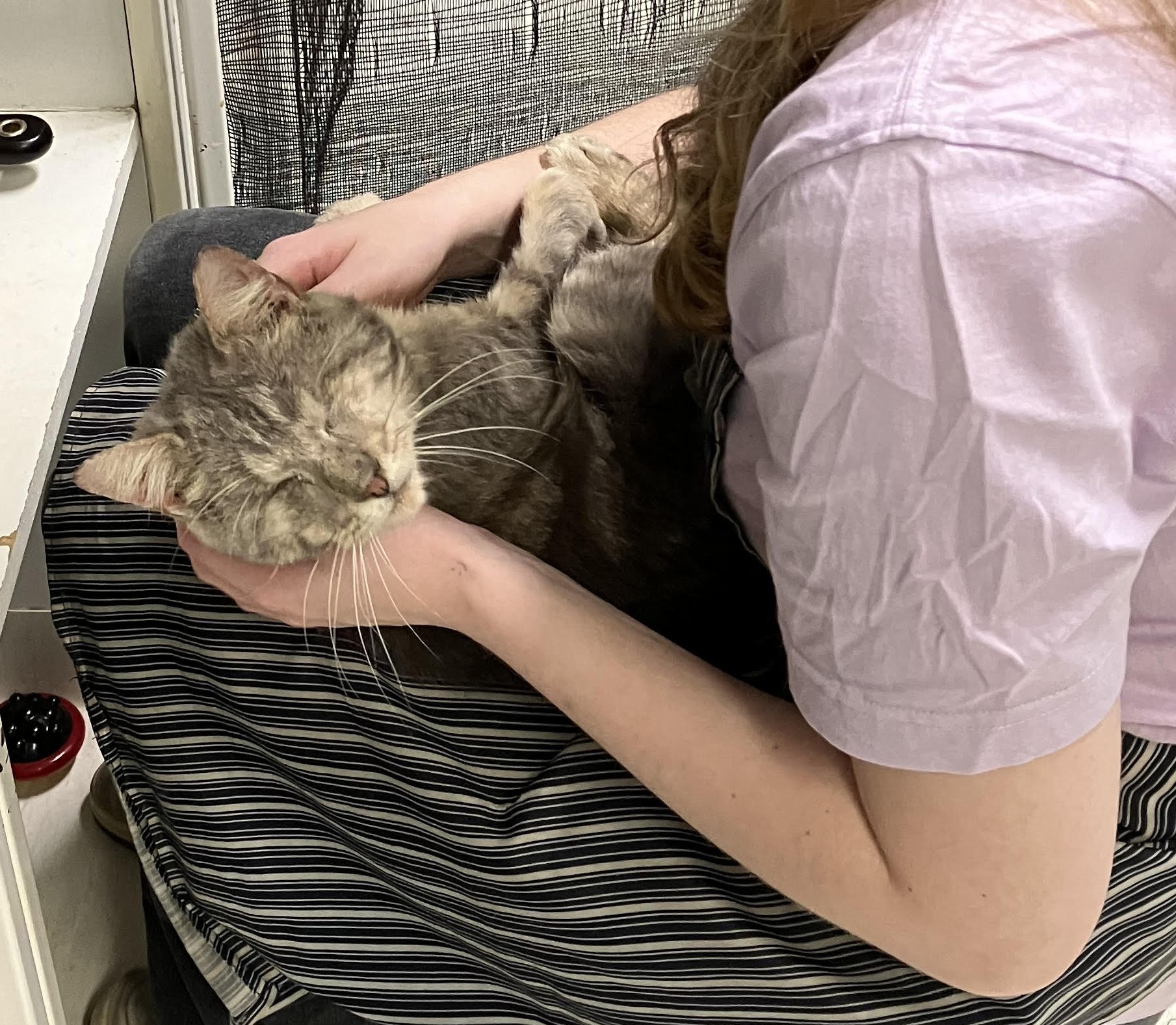 Dawson - A gentle soul with a heart full of love