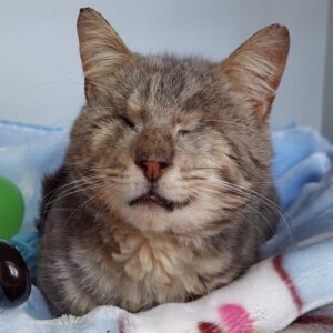 Dawson - A gentle soul with a heart full of love