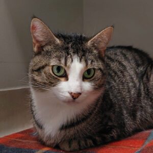 Yahtzee - A gentle soul with a big heart