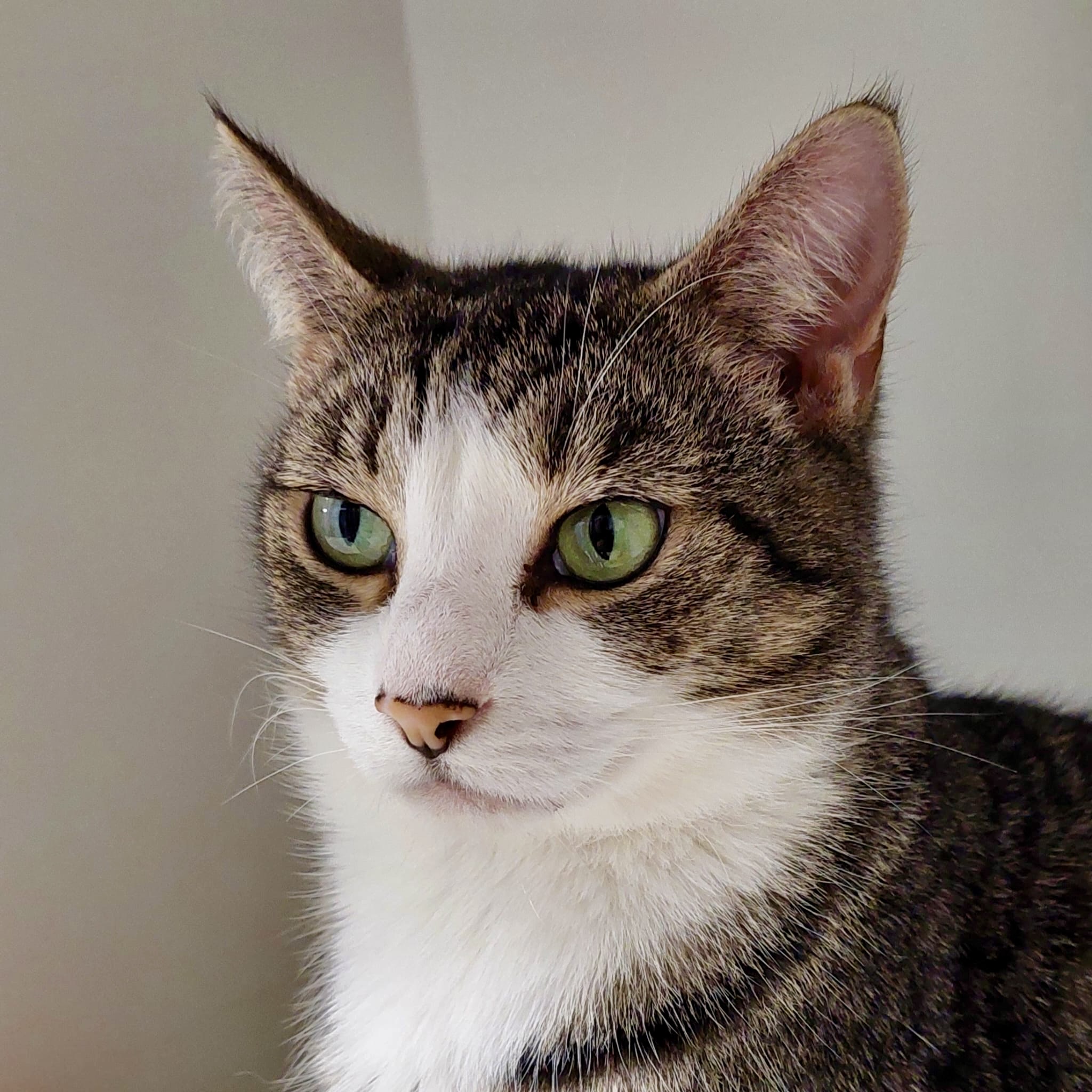 Yahtzee - A gentle soul with a big heart