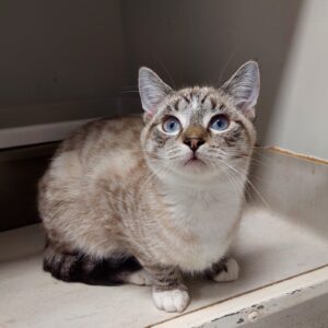 Billy - shy but loving