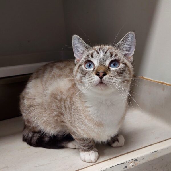 Billy - shy but loving