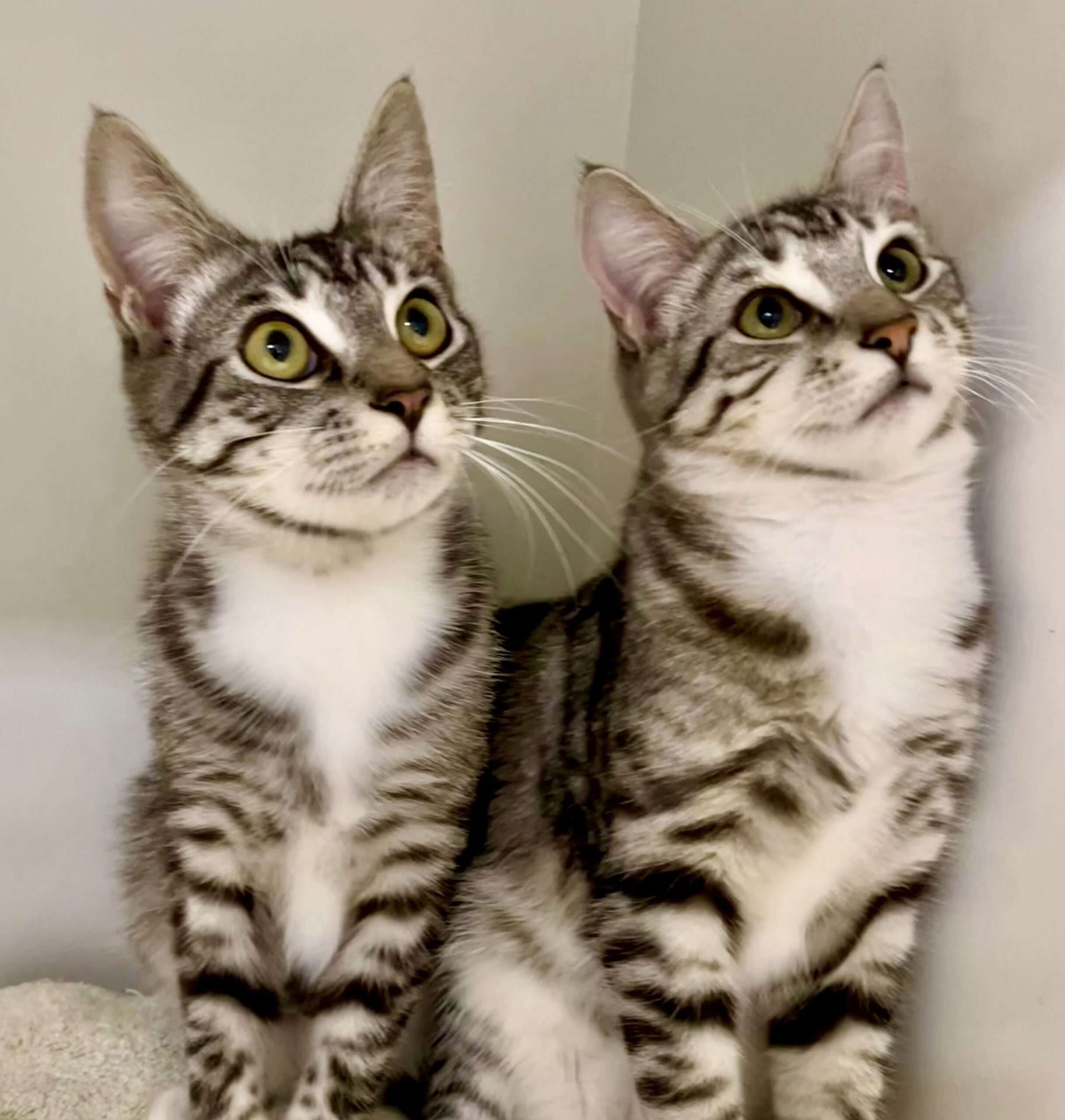 Peter and Brock - Double the fun, double the love