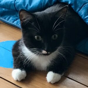 Athena - your sweet, sassy little star