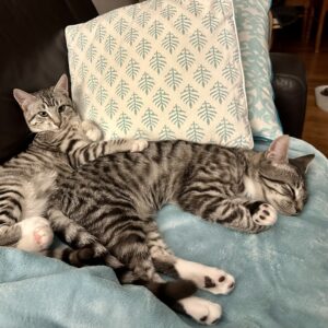 Peter and Brock - Double the fun, double the love
