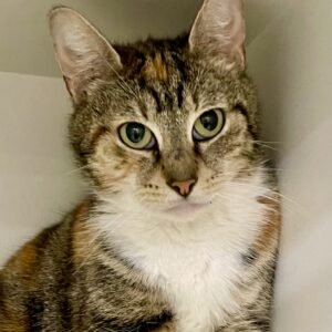 Looking for love? So is Kiki!